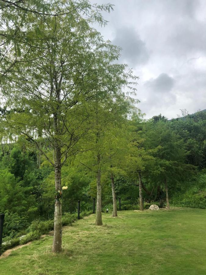 Sunrise Forest Fenglin エクステリア 写真